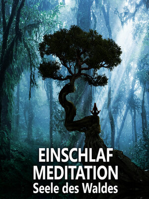 cover image of Einschlafmeditation | Seele des Waldes
